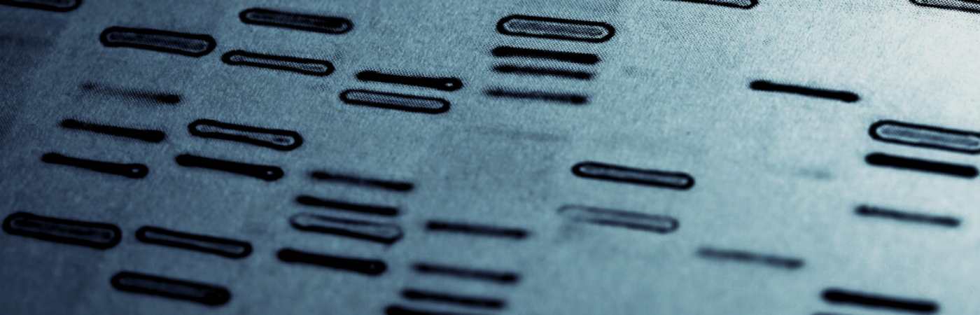 Human genome read-out