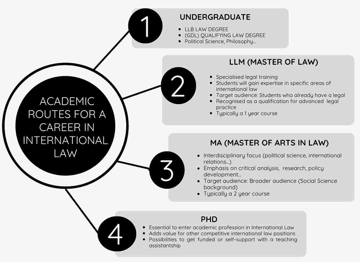 Academic routes for a career in international law diagram